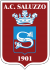 logo SAVIGLIANESE