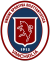 logo Vanchiglia