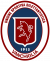 logo VANCHIGLIA